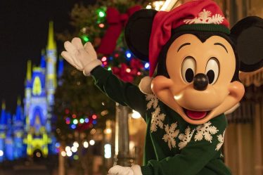 Disney Christmas 2024!  Traditional Magic Kingdom party gains dates and prices.  Check out!